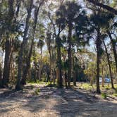 Review photo of Looney Acres by Maria Mercedes M., March 2, 2026