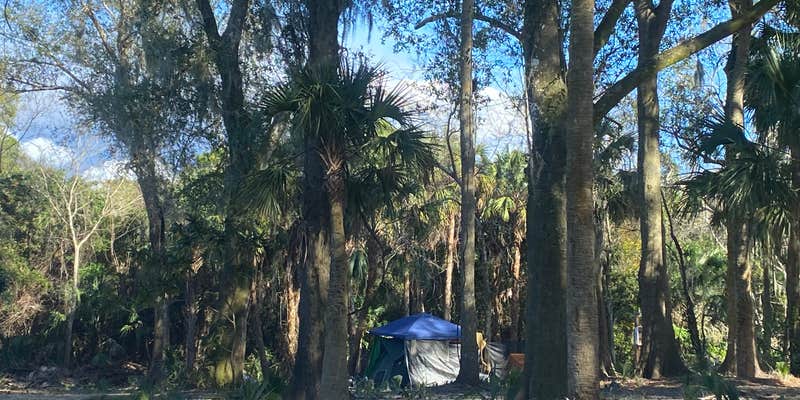 Camper submitted image from Looney Acres