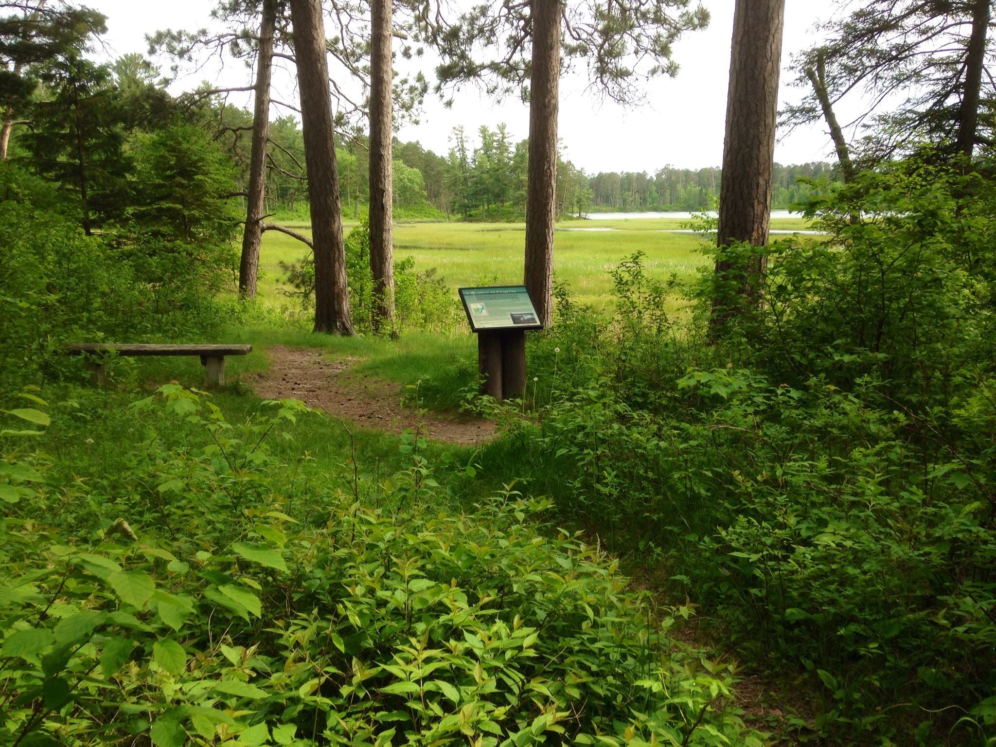 Camper submitted image from Pine Ridge Campground — Itasca State Park - 2