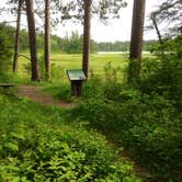 Review photo of Pine Ridge Campground — Itasca State Park by Eric K., September 29, 2016