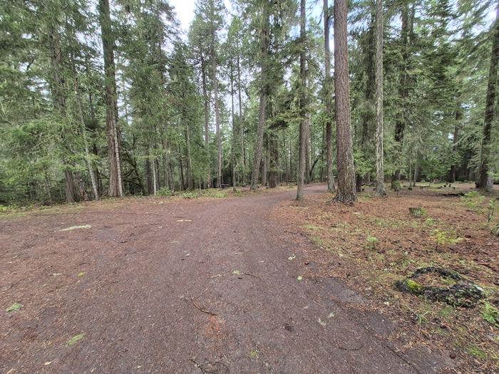 Camping near Suncrest Southbound Rest Area I-5: Threehorn Campground, Tiller, Oregon