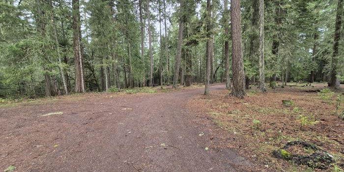 Camper submitted image from Threehorn Campground