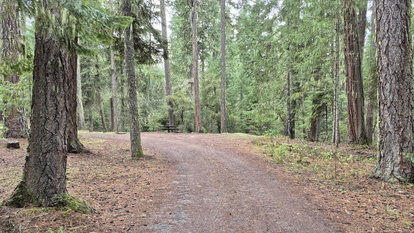 Camper-submitted photo at Threehorn Campground near Tiller, OR