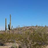 Review photo of BLM Ironwood Monument - 2555 ft Knob Overlander 4x4 Dispersed Camping area by William J., March 5, 2026
