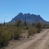 Review photo of BLM Ironwood Monument - 2555 ft Knob Overlander 4x4 Dispersed Camping area by William J., March 5, 2026