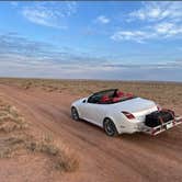 Review photo of Petrified Forest Campground by Howard W., March 5, 2026