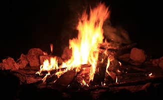 Kayla K.'s photo at Missoula Lake Campground near Superior, MT