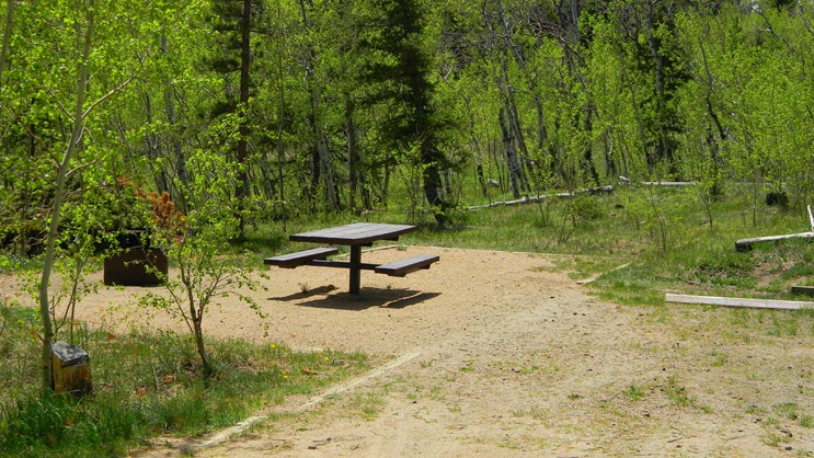 Camper submitted image from Missoula Lake Campground - 5