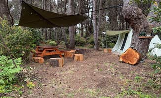 Richard G.'s photo at Camp Candy Cap near Soda Springs, CA