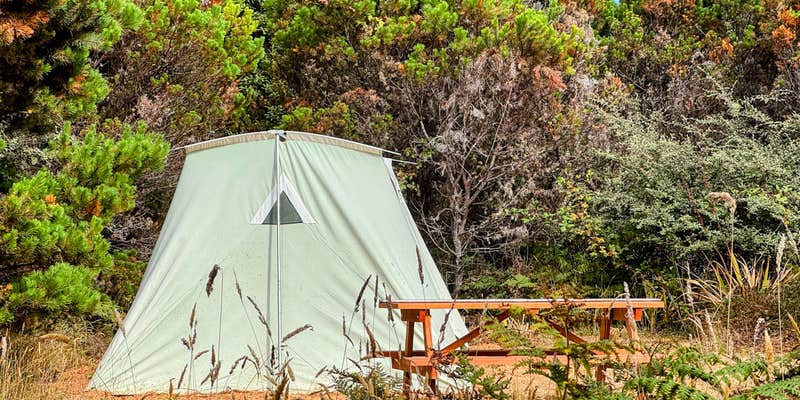 Camper submitted image from Camp Candy Cap