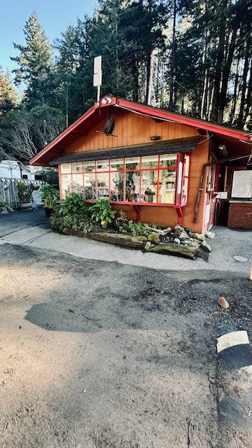 Camper-submitted photo at Anchor Bay Campground near Gualala, CA