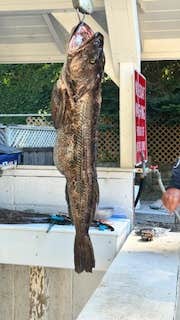 Camper-submitted photo at Anchor Bay Campground near Gualala, CA