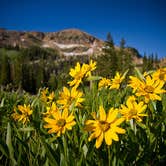 Review photo of Missoula Lake Campground by Kayla K., September 29, 2016