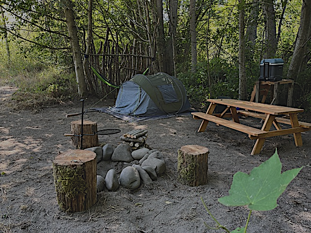 Robin R.'s photo of tent camping at Dungeness Island near Port Ludlow, WA