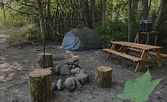 Robin R.'s photo of tent camping at Dungeness Island near Chimacum, WA