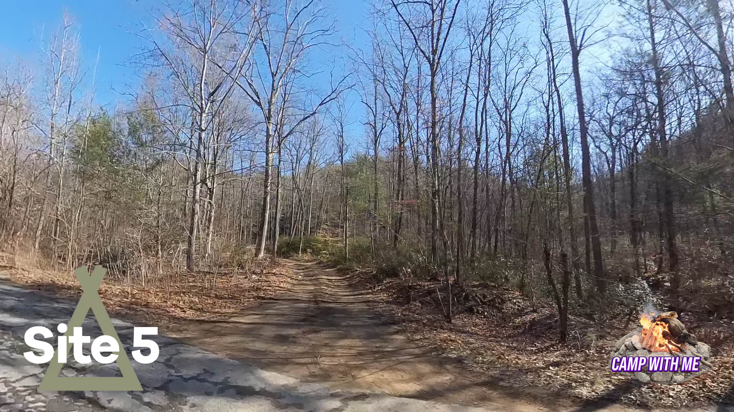 Camper-submitted photo at Dispersed Camping Site off FR 812 near Oriskany, VA