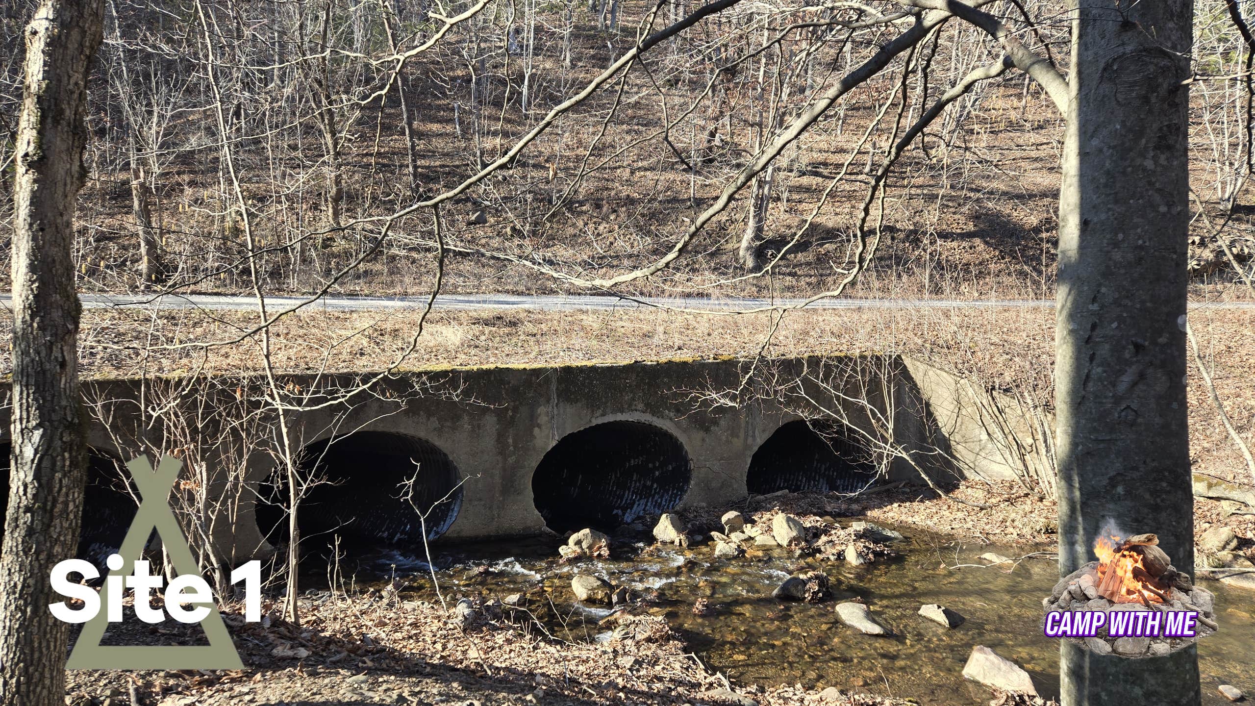 George Washington National Forest off 812