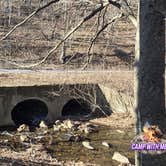 Review photo of George Washington National Forest off 812 by Camp With Me , March 9, 2026