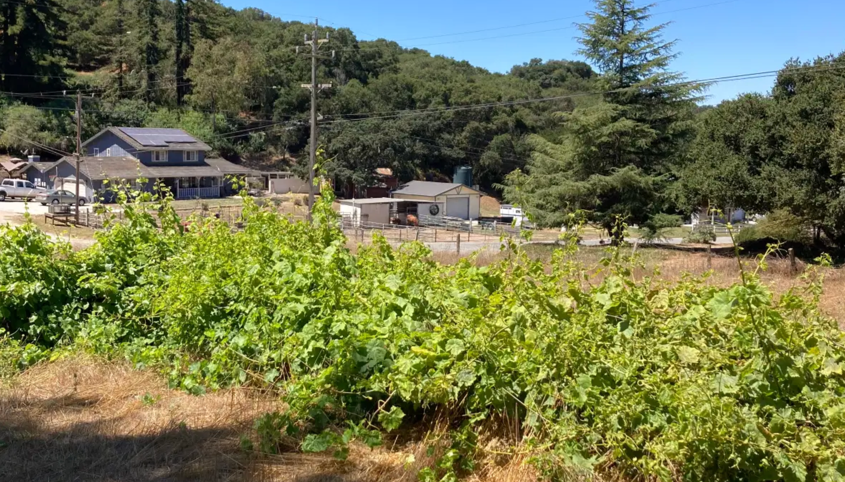 Camping near Marina Dunes RV Park: Salinas - RV parking with hookup, San Juan Bautista, California