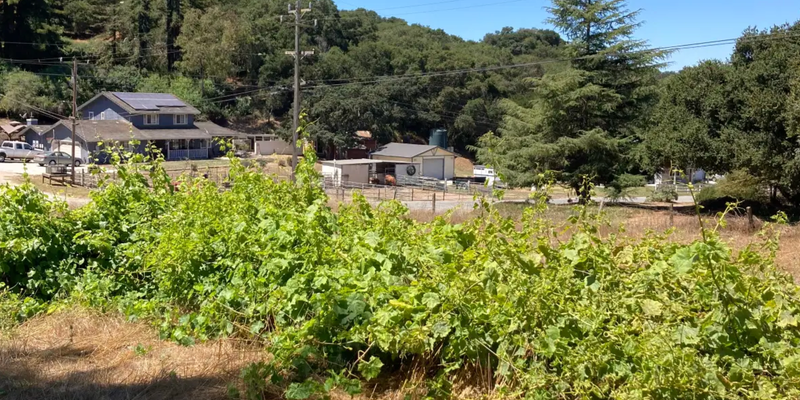 Camper submitted image from Salinas - RV parking with hookup