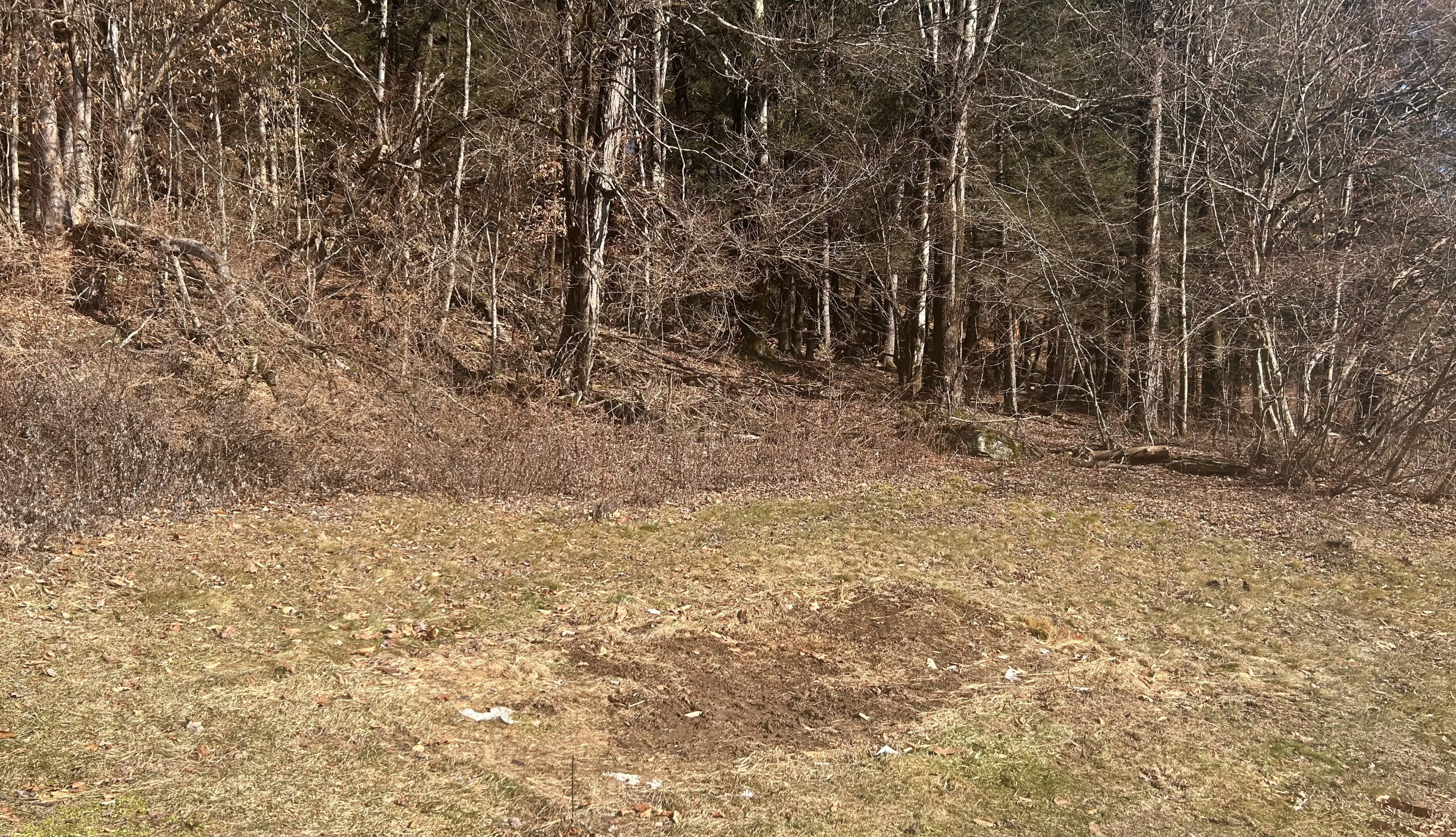 Camper-submitted photo at Lawton - RV park with hookup near Dallas, PA