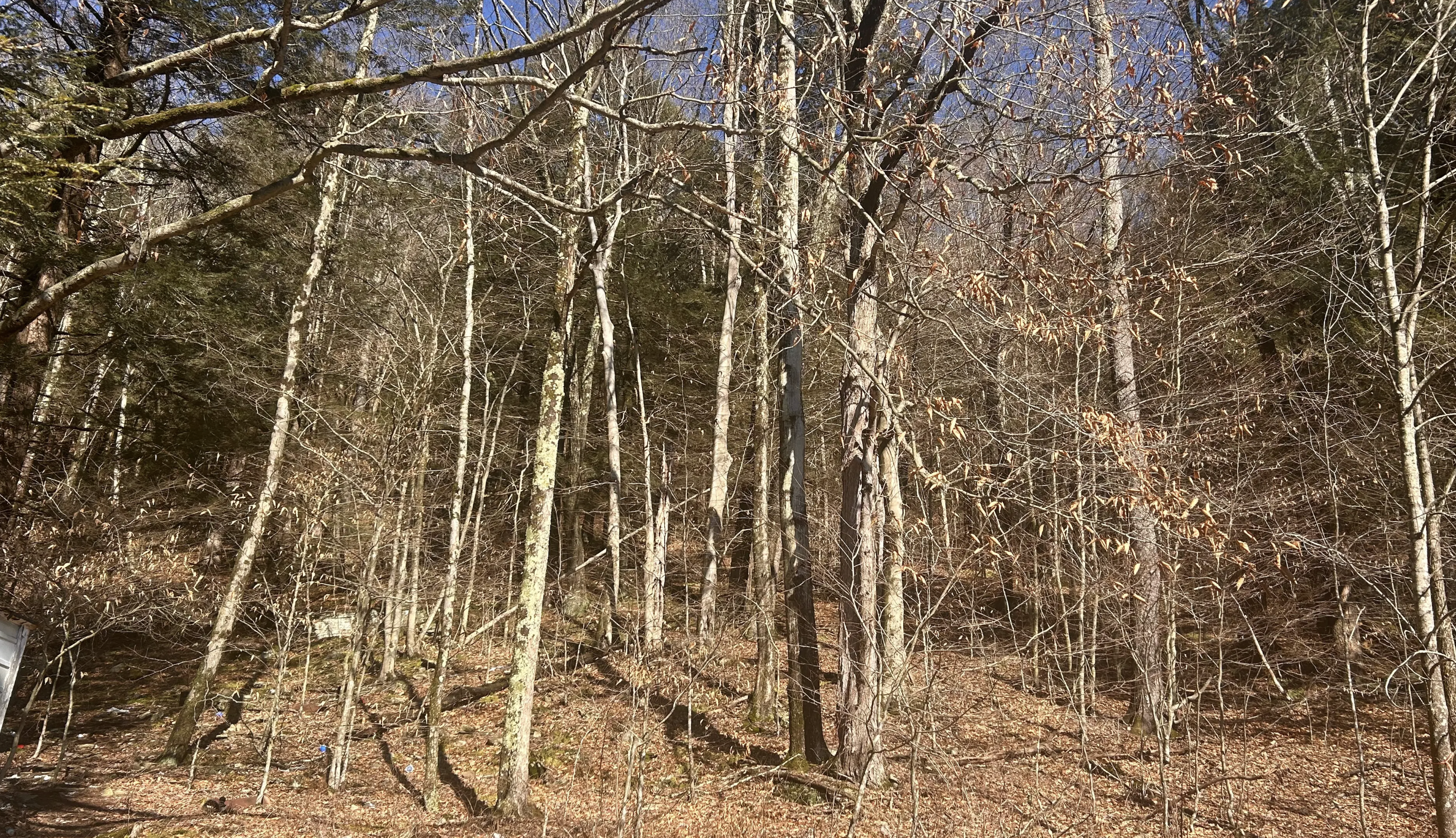 Camper-submitted photo at Lawton - RV park with hookup near Dallas, PA