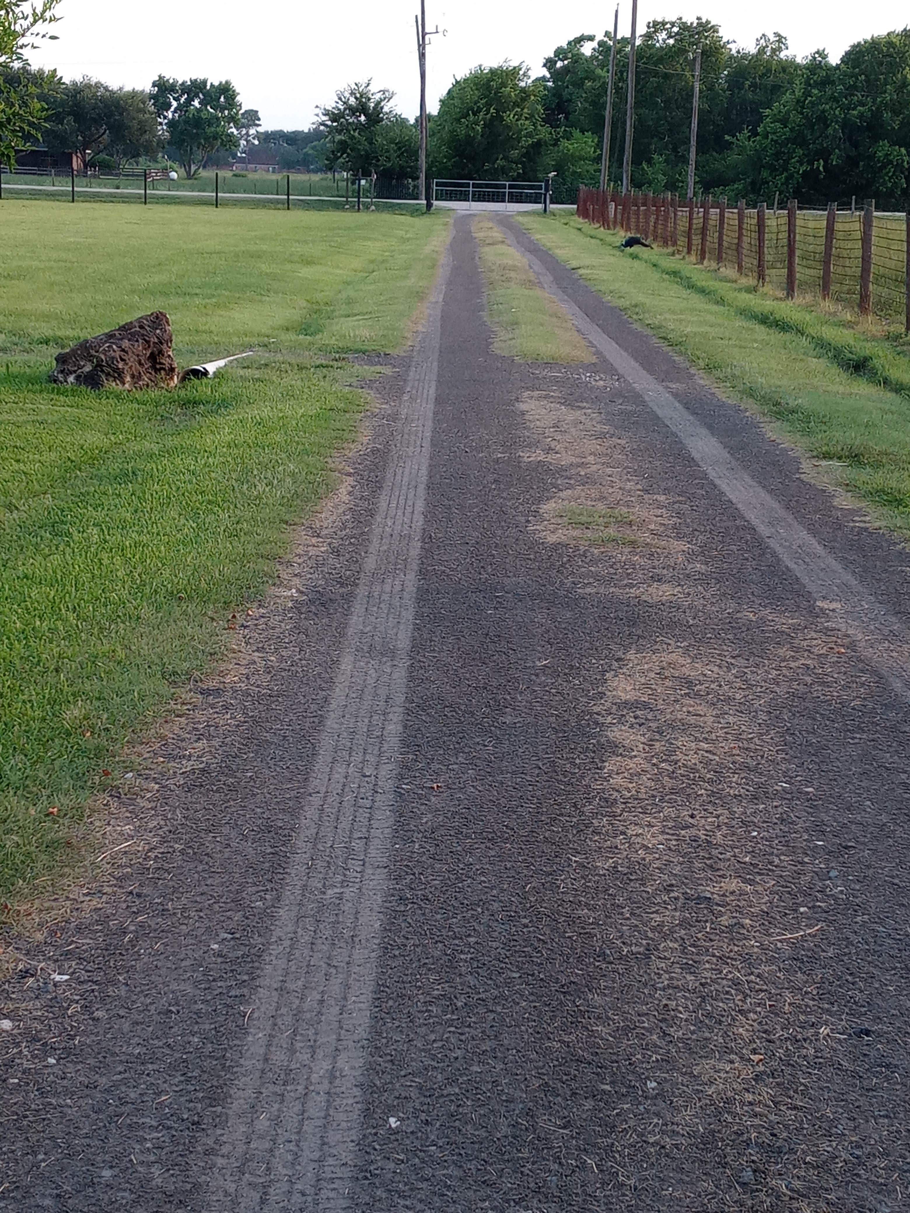Camper-submitted photo at Kamas RV Park near Needville, TX