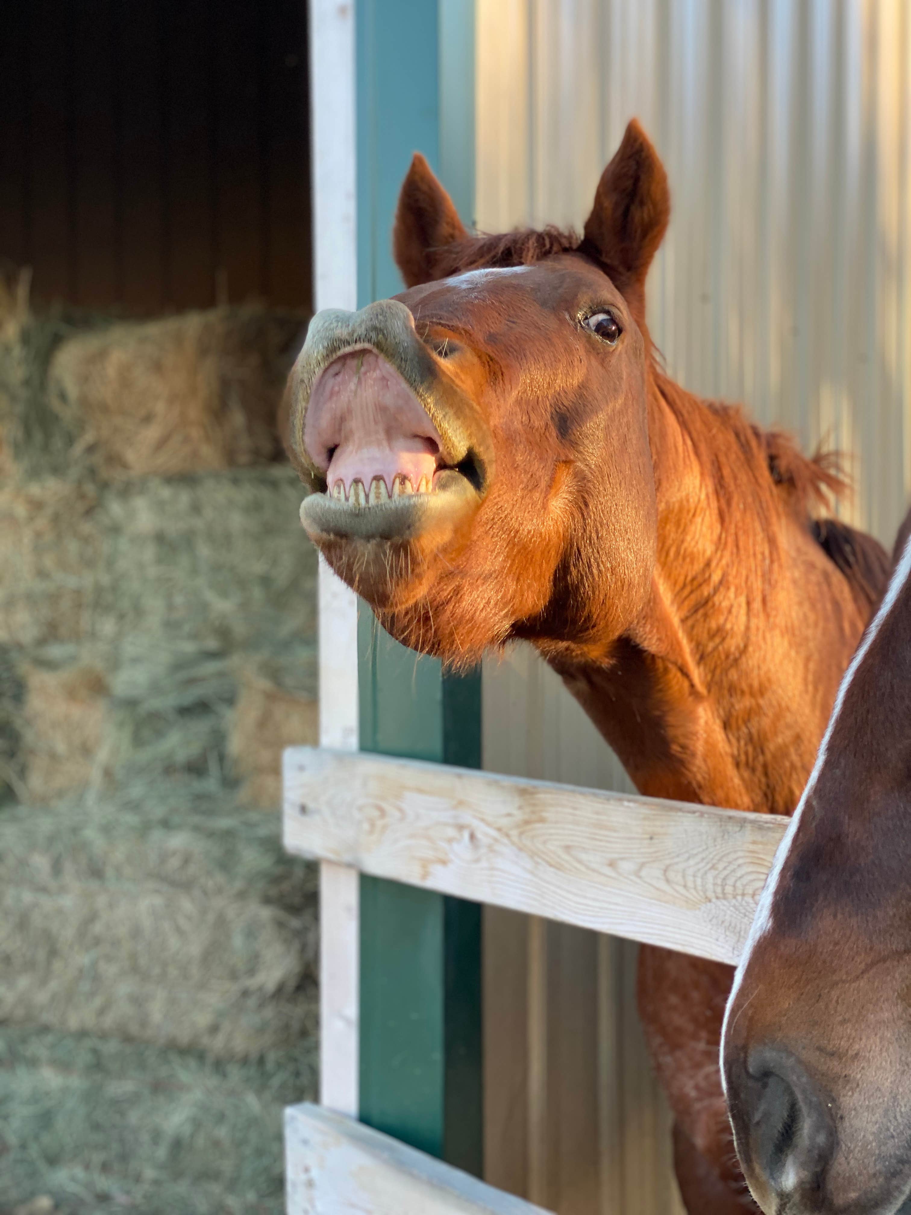 Camper-submitted photo at Western Skies RV and Equine Park near Thermopolis, WY