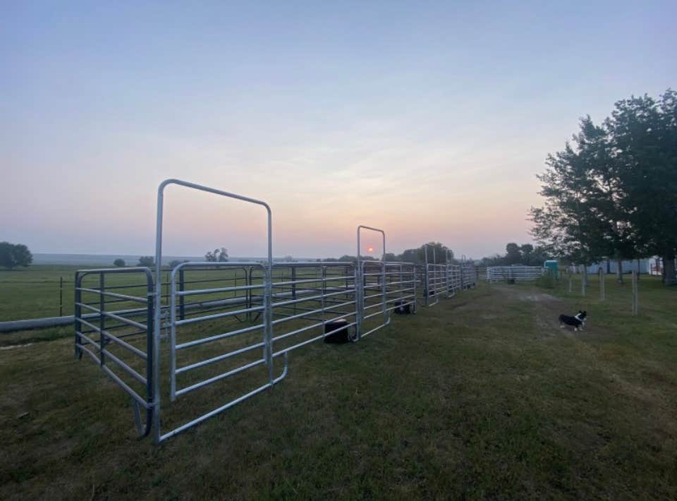Olivia P.'s photo of camping with pets at Western Skies RV and Equine Park near Lander, WY