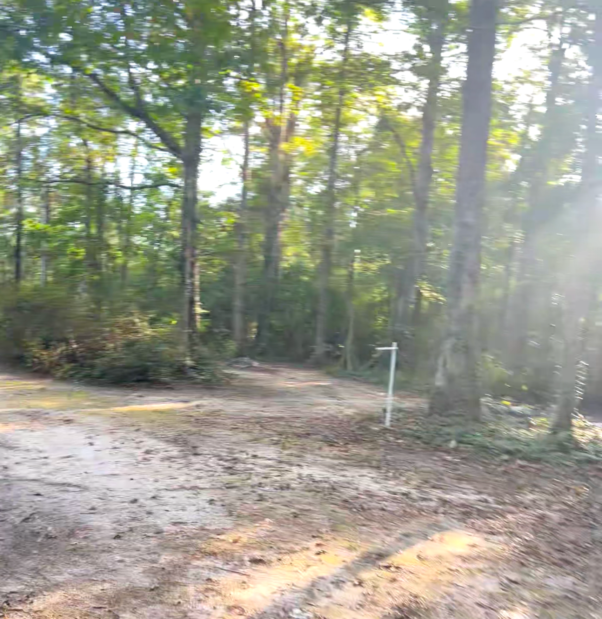 Camping near Sleepy Hollow RV Park: The Wilderness Retreat, Hattiesburg, Mississippi