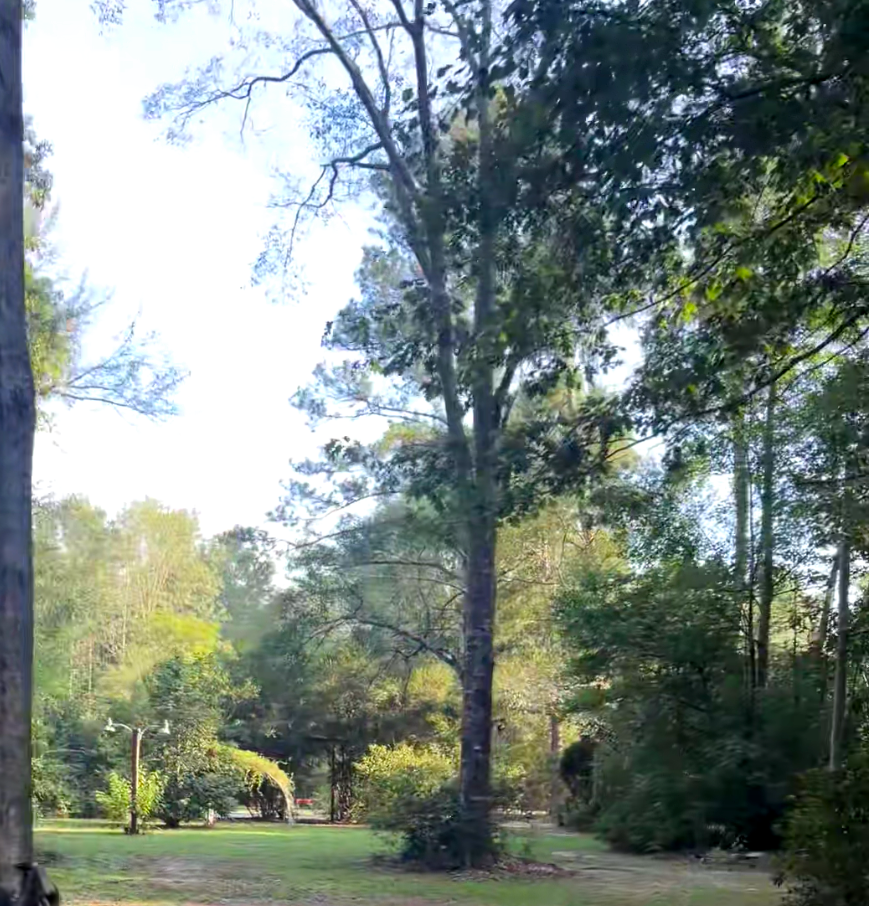 Camper-submitted photo at The Wilderness Retreat near Petal, MS