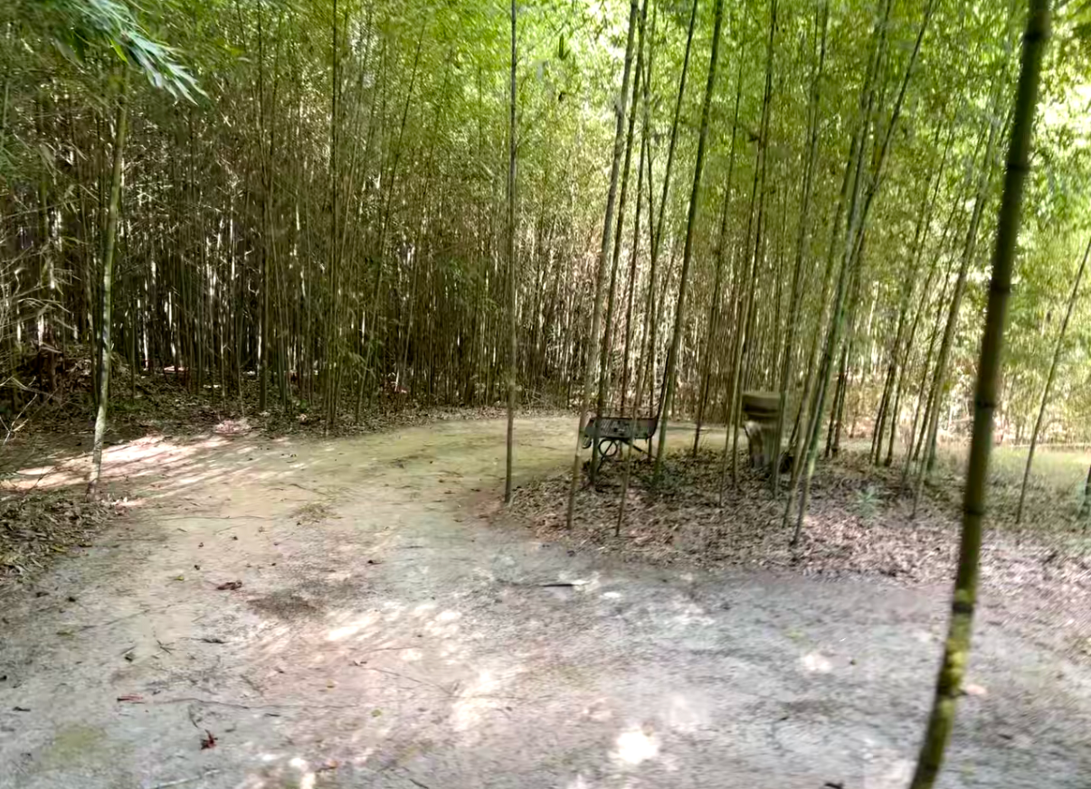 Camper-submitted photo at The Wilderness Retreat near Petal, MS