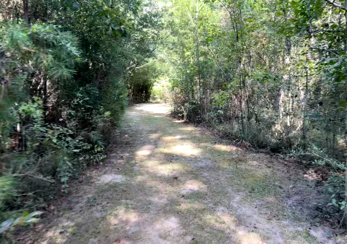 Camper-submitted photo at The Wilderness Retreat near Petal, MS