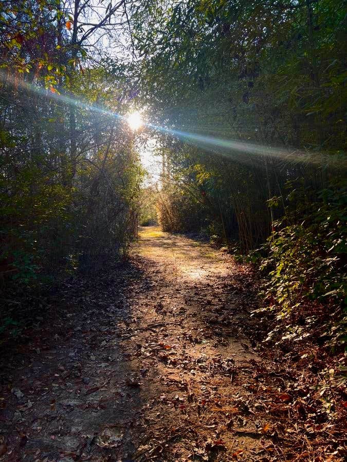 Camper-submitted photo at The Wilderness Retreat near Petal, MS