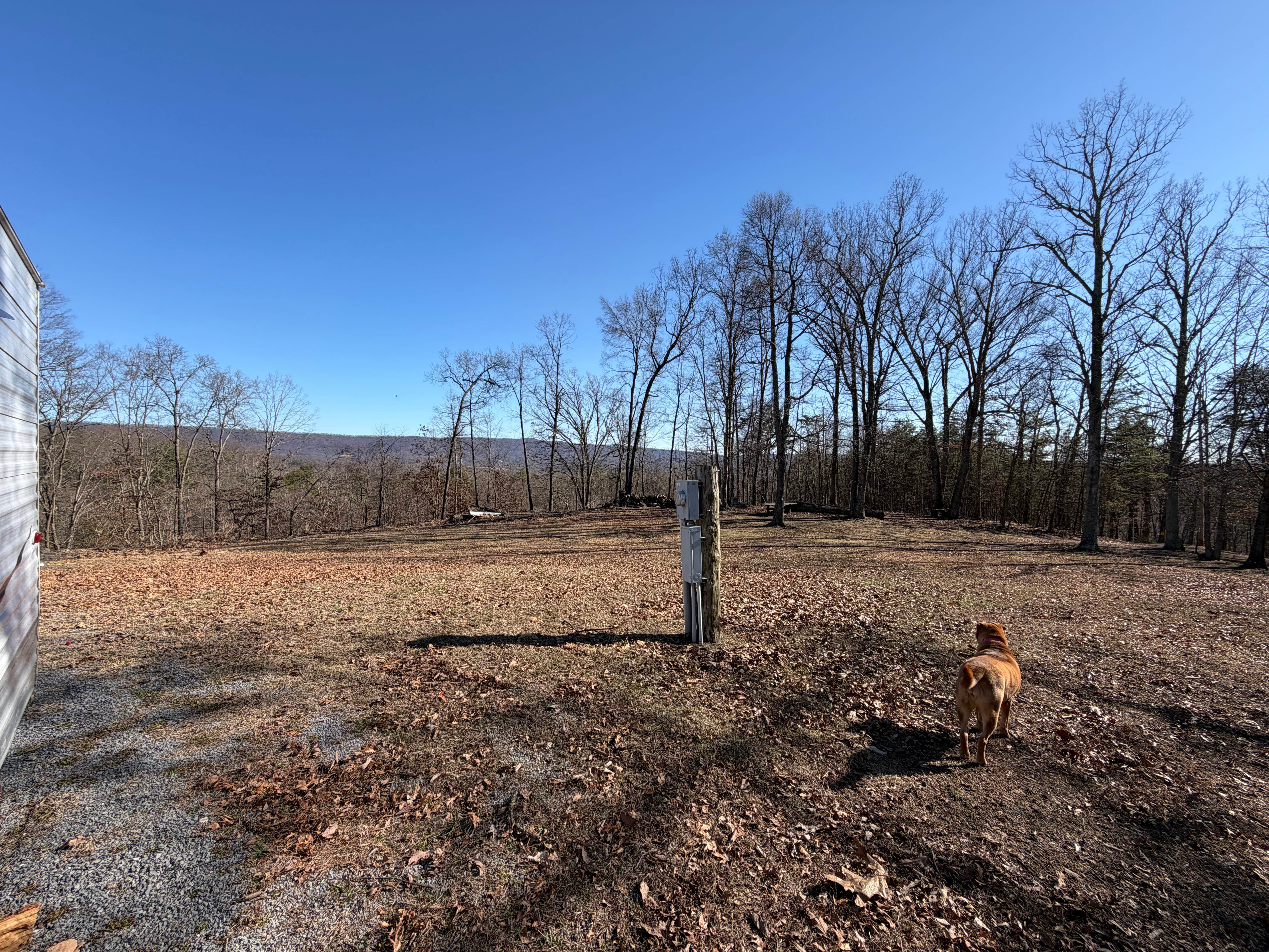 Jordan H.'s photo of camping with pets at Ridge-top Retreat near Winchester, VA
