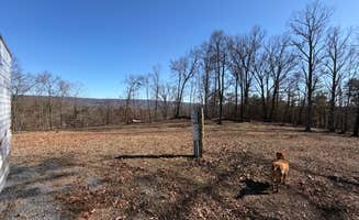 Jordan H.'s photo of camping with pets at Ridge-top Retreat in West Virginia