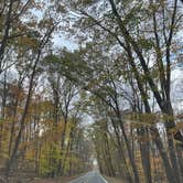 Review photo of Owens Creek Campground — Catoctin Mountain Park by Nani C., March 11, 2026