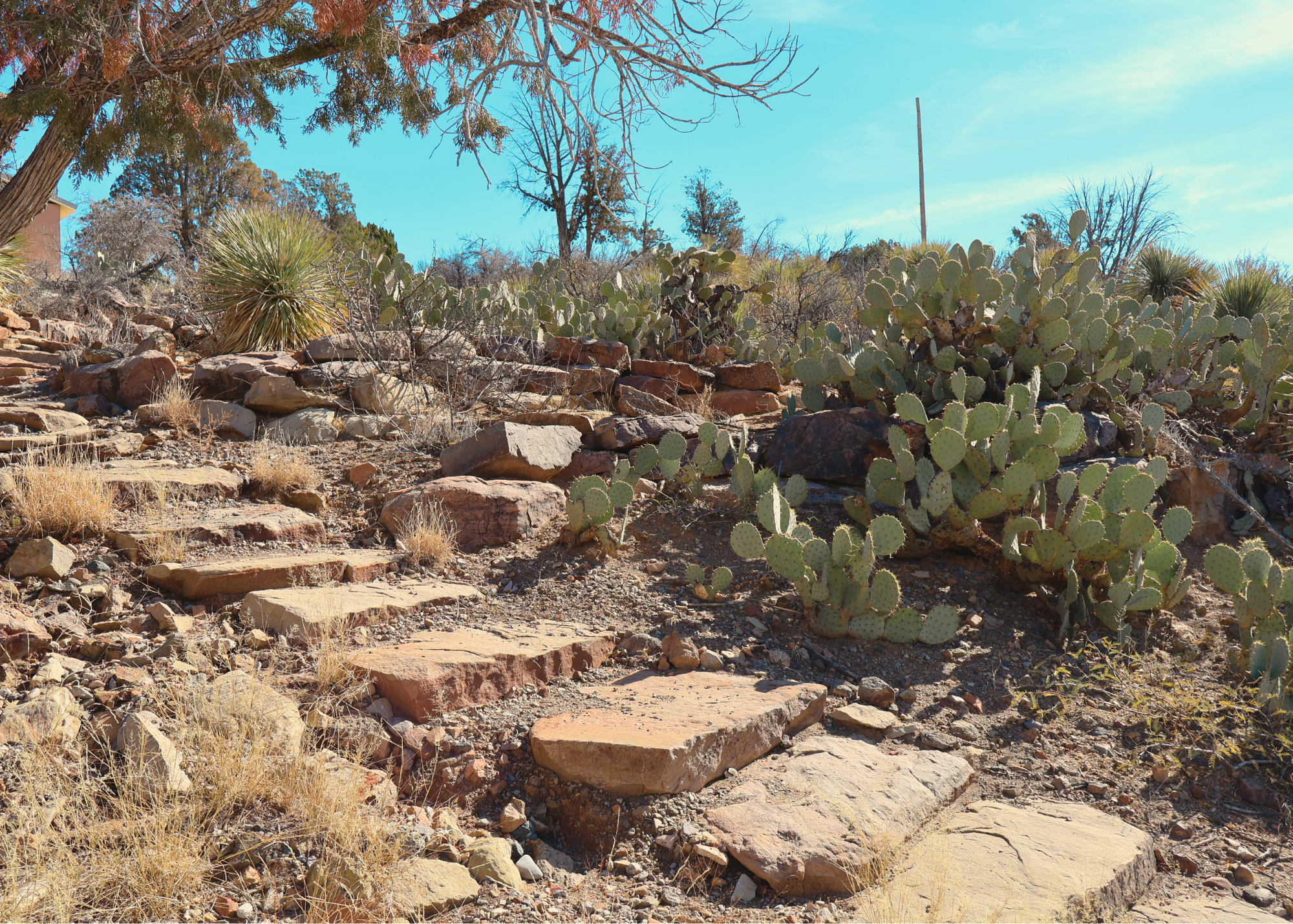 Camper-submitted photo at Dam Site Lodging near Arrey, NM
