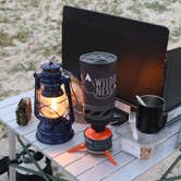 Review photo of Arroyo Salado Primitive Campground — Anza-Borrego Desert State Park by Robert G., March 12, 2026