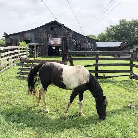 Camping near Tipi Creek: Muletown Farm | Pond | Horses | Sunset Views, Mount Pleasant, Tennessee