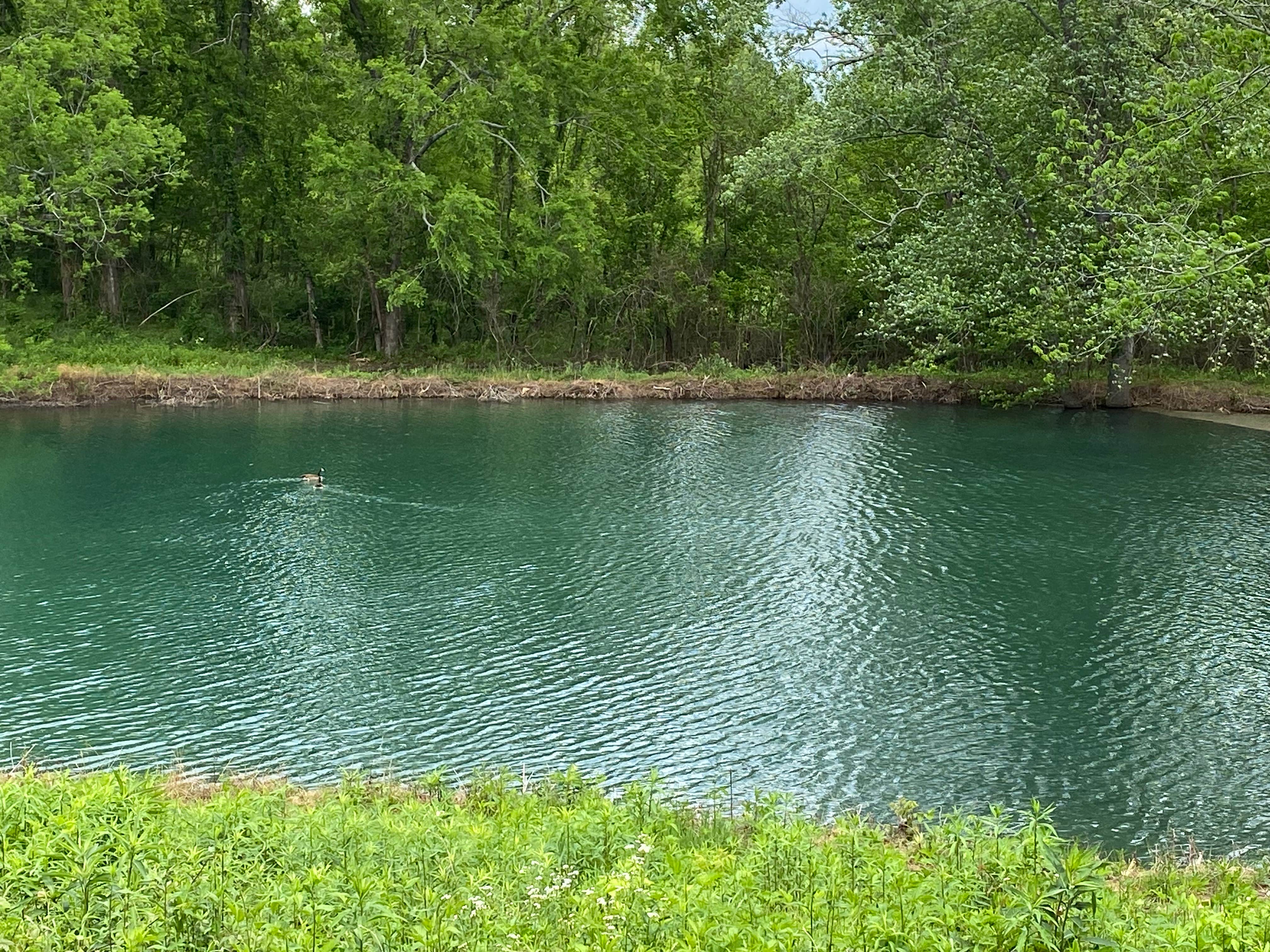 Camper-submitted photo at Muletown Farm | Pond | Horses | Sunset Views near Columbia, TN