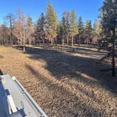 Review photo of Coconino Rim Road Dispersed Camping by Kathy B., March 15, 2026