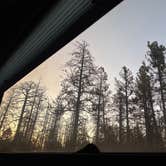 Review photo of Coconino Rim Road Dispersed Camping by Kathy B., March 15, 2026