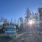 Review photo of Coconino Rim Road Dispersed Camping by Kathy B., March 15, 2026