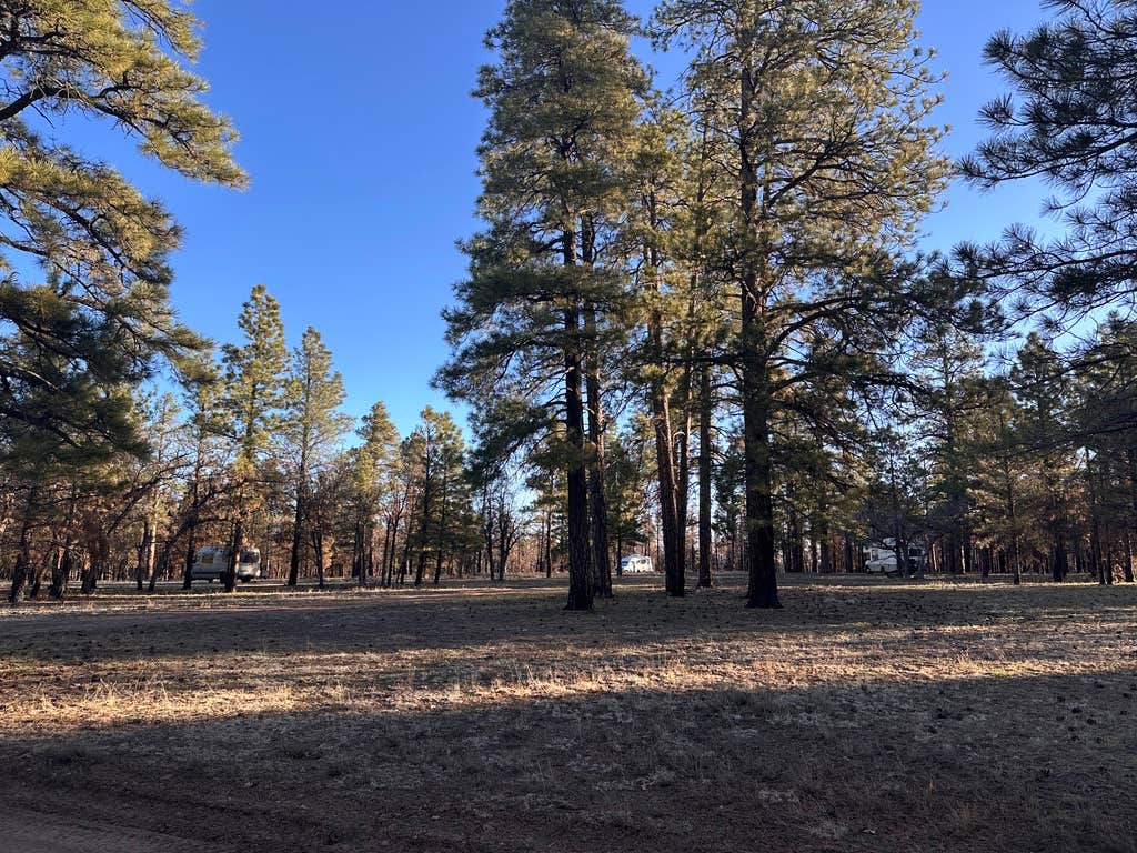 Camper-submitted photo at Coconino Rim Road Dispersed Camping near Tuba City, AZ