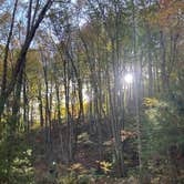 Review photo of Blackberry Blossom Farm & Campground by grayson R., March 15, 2026