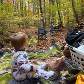 Review photo of Blackberry Blossom Farm & Campground by grayson R., March 15, 2026