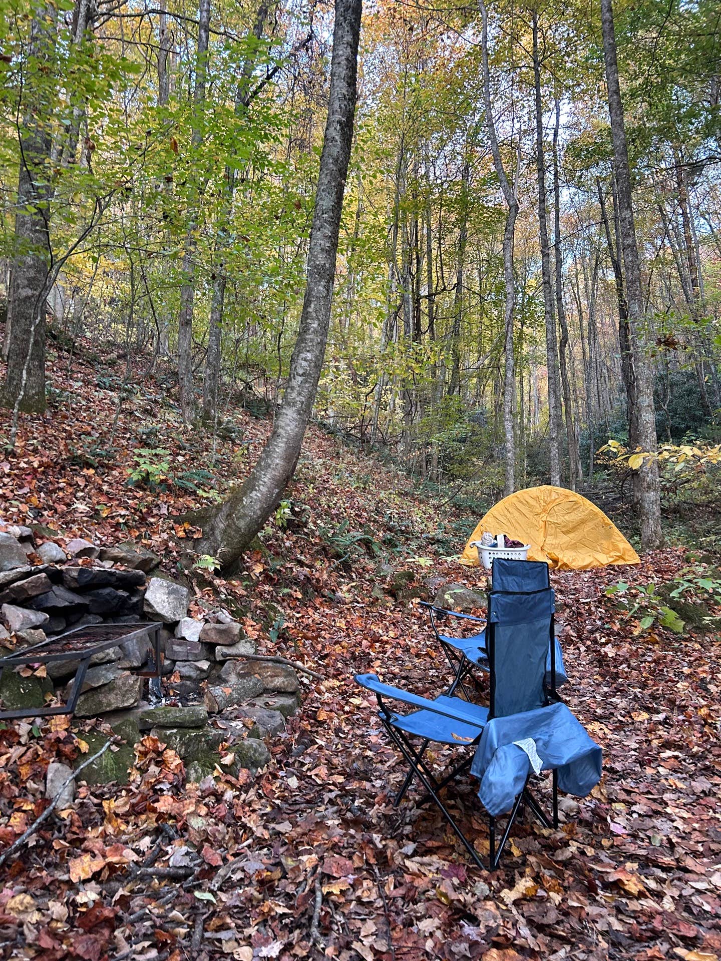 grayson R.'s photo of tent camping at Blackberry Blossom Farm & Campground near Bristol, VA