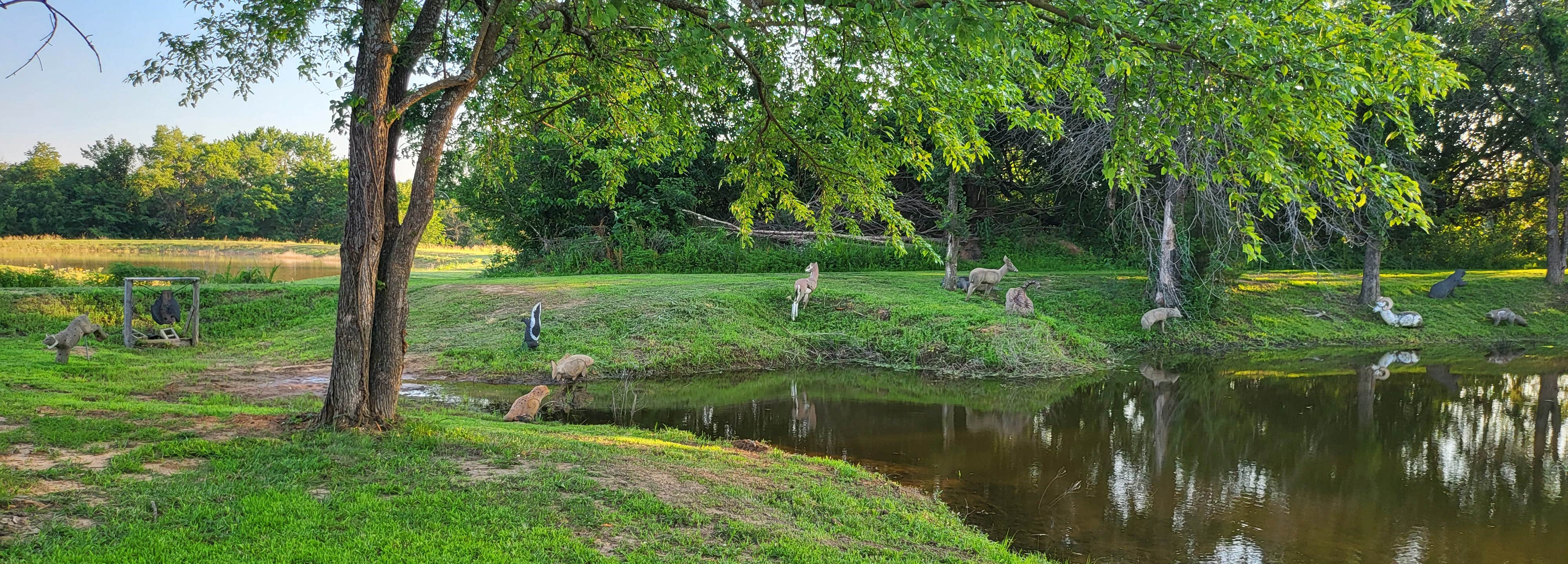 Renee H.'s photo of camping with pets at 54 Shooters Supply and RV Park near Clinton, MO