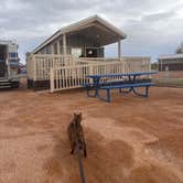 Review photo of Lake Havasu State Park Campground by Kathy B., March 16, 2026